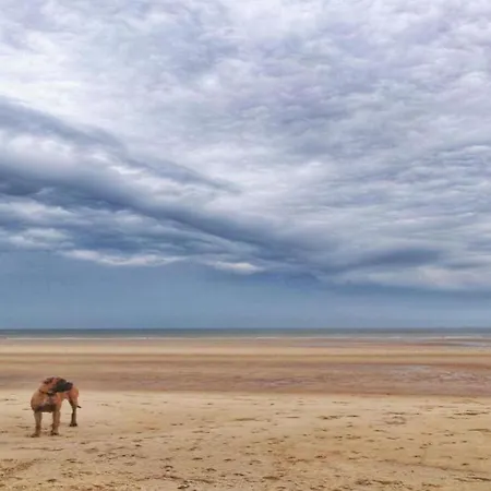 In Ostend Near The Seafront