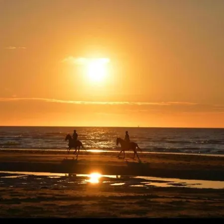 In Ostend Near The Seafront *